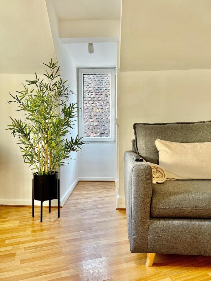 Bonjour Colmar Appartement Buitenkant foto
